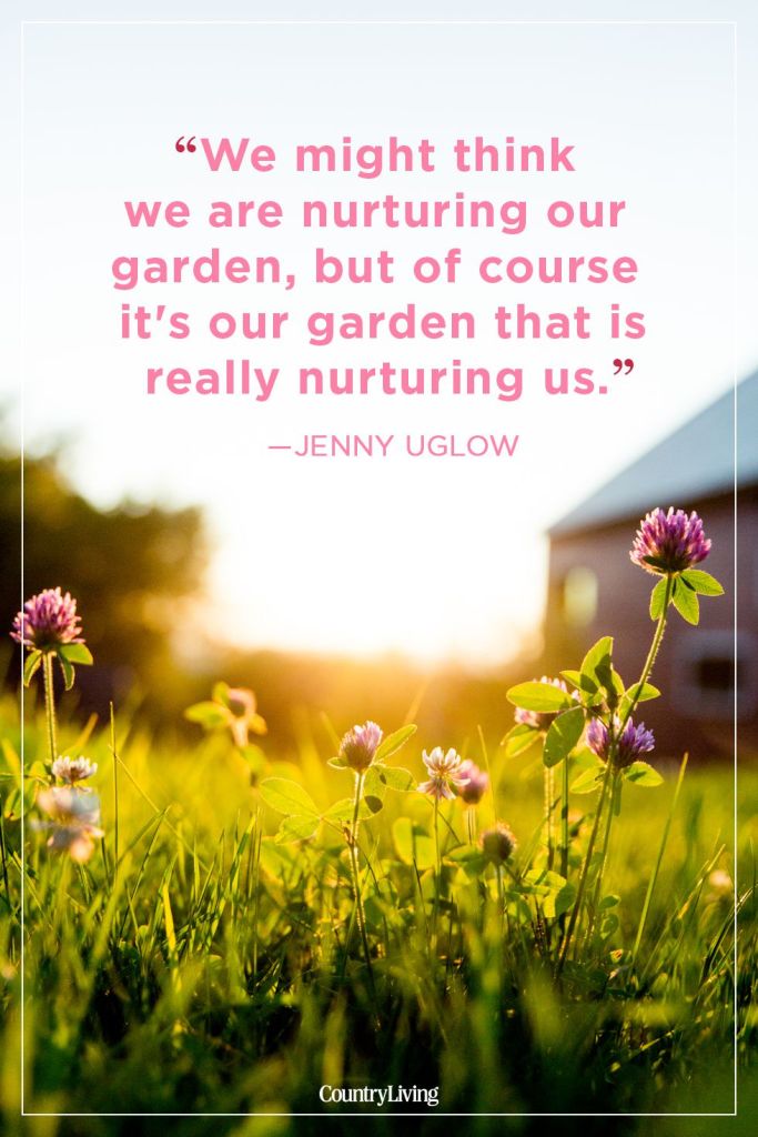 jenny-uglow-summer-quote-1524853749
